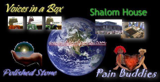 www.dianelipman.com